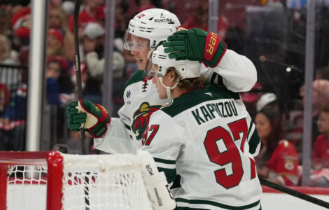 Wild Panthers Hockey